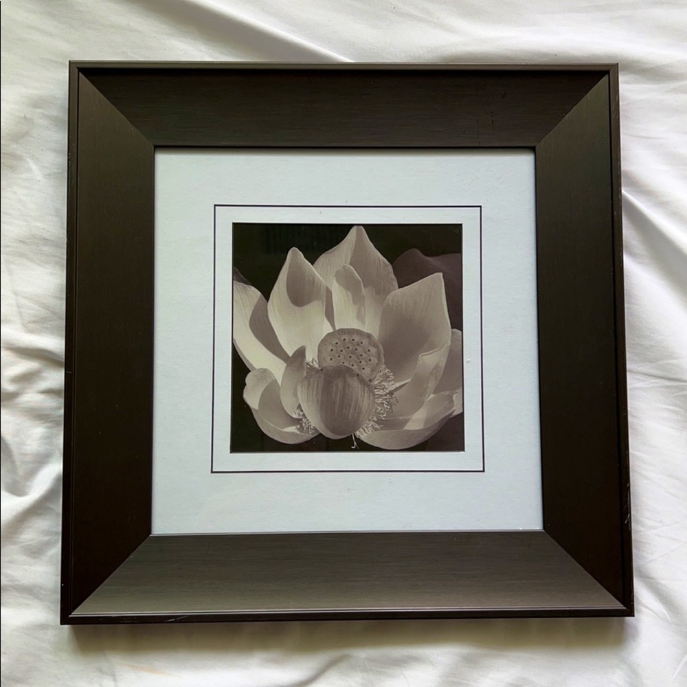Wall Art Black and White Flower
